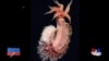 16x9 Image