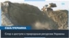 Экономический интерес США может стать гарантией безопасности Украине 