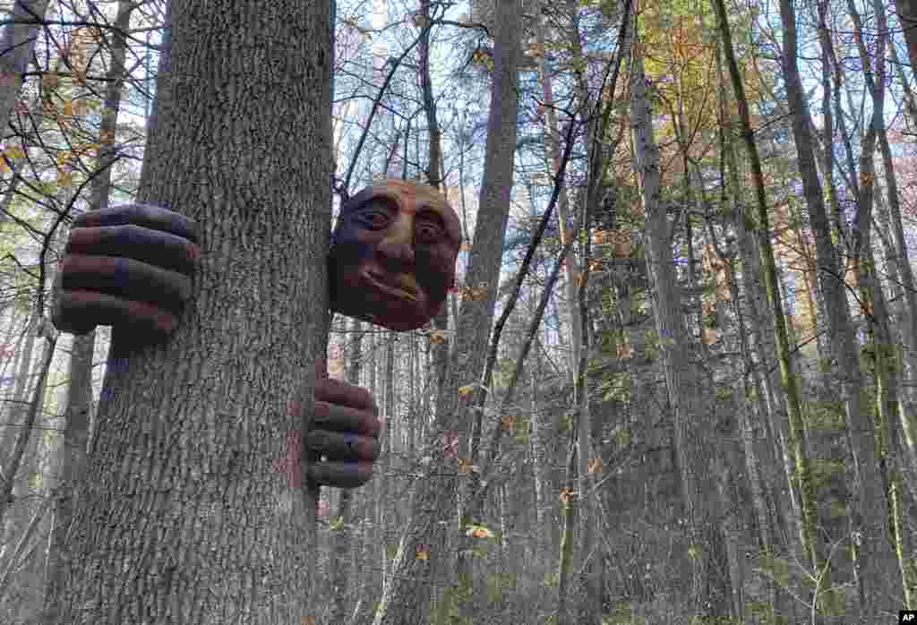 A "friendly giant" sculpture hangs from a tree in the Hanmer Heritage Forest at Hammer Springs, New Zealand.
