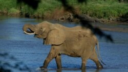 Turismo minimiza crise em Moçambique