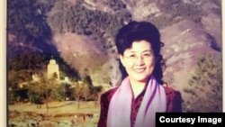 前中共中央黨校教授蔡霞(資料照片)