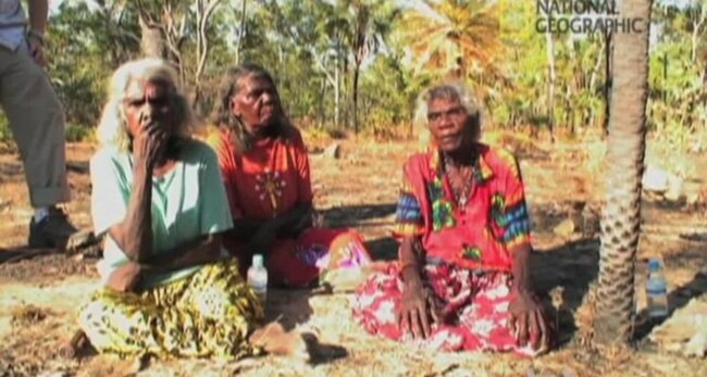 Rosetta Project Preserves Key to Endangered Languages
