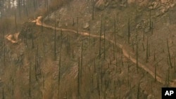 FILE - This image taken from video provided by KGW-TV shows fire damage to the area surrounding the Angel's Rest trail in the Columbia River Gorge near Cascade Locks, Oregon, Sept. 7, 2017.