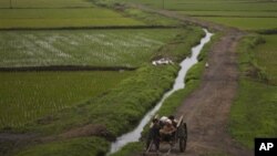 지난 2012년 평양 외곽의 농촌 풍경. (자료사진)