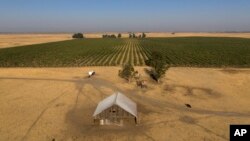 ARCHIVO - Vista aérea de tierras de labranza en el condado de Solano, California, 30 de agosto de 2023.