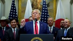 AQSh Prezidenti Donald Tramp
