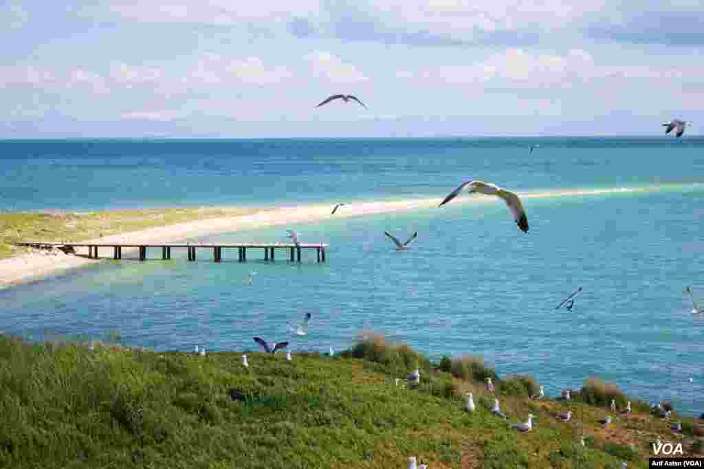 Çarpanak Island or Ktuts Island