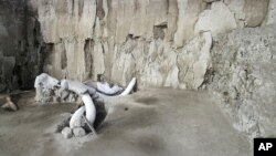 In this undated photo released by Mexico's National Institute of Anthropology and History, INAH, mammoth bones lay at an excavation site in Tultepec, just north of Mexico City. Mexican anthropologists say they found two human-built pits dug 15,000…