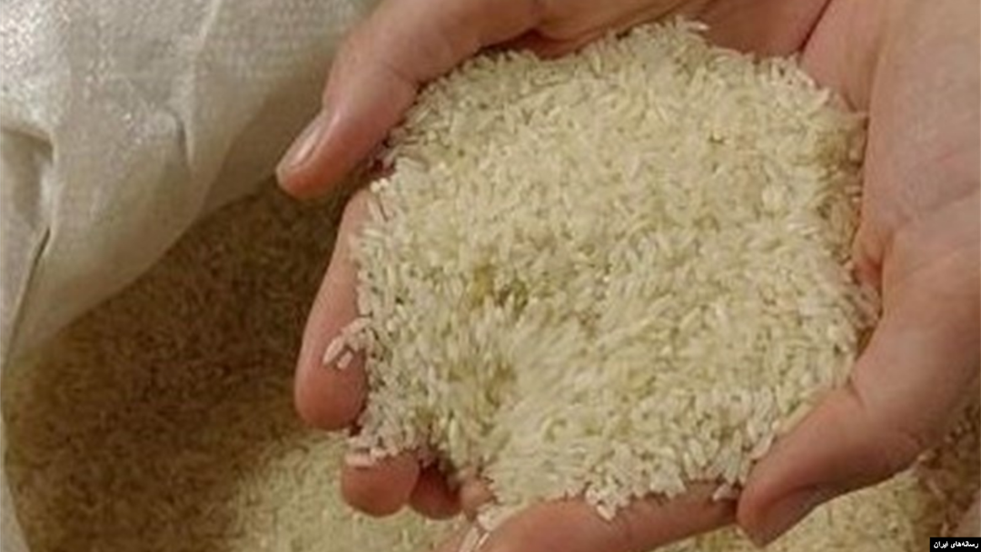 برنج 