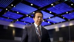 中國公安部副部長出身的國際刑警組織主席孟宏偉走上國際刑警組織世界大會的講台，準備講話（2017年7月4日）