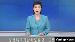 북한의 개성공단 담당 실무기관인 중앙특구개발지도총국 대변인은 지난 15일 조선중앙통신 기자와의 문답에서 한국 정부의 개성공단 실무회담 제의와 관련, 앞으로 남북관계 향방은 전적으로 남측당국의 태도 여하에 달렸다고 주장했다. 조선중앙 TV 보도.