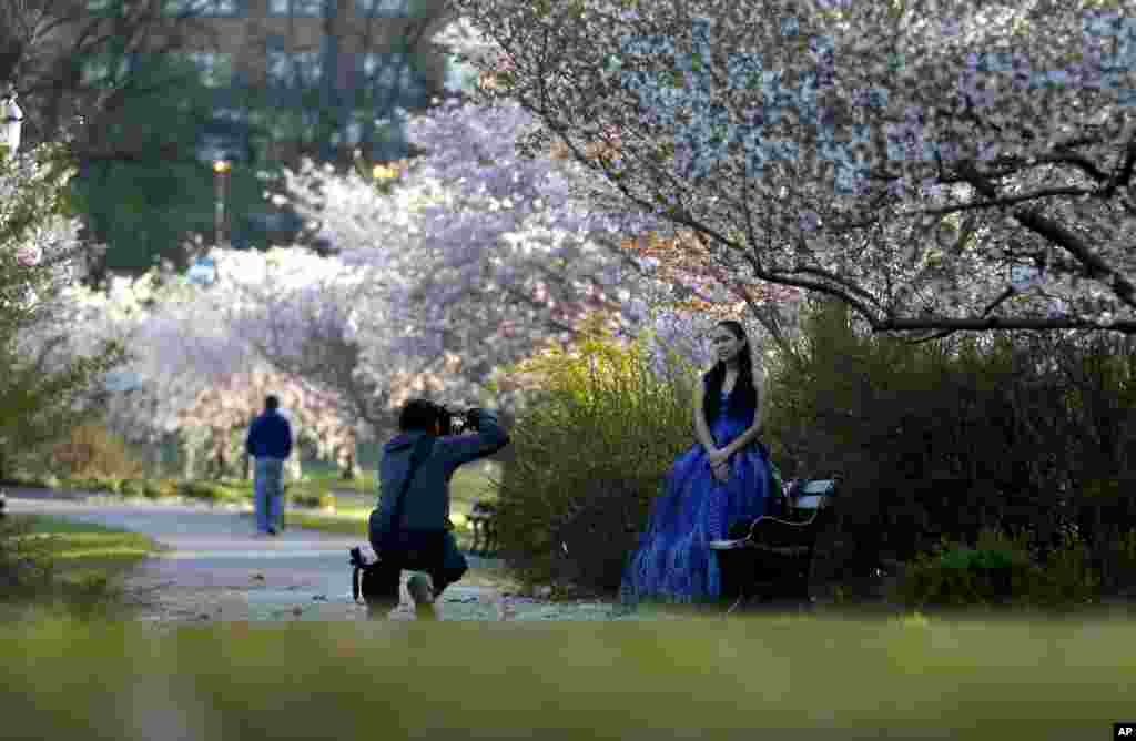 Seorang fotografer memotret seorang model di Branch Brook Park di Newark, NJ, 24 April 2014. 