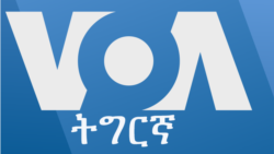 ፈነወ ትግርኛ ሰኑይ