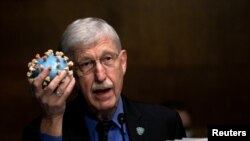 Francis Collins, director del Instituto Nacional de Salud de Estados Unidos, conversó con la Voz de América. [Foto: Reuters/Archivo]
