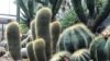 Jardín botánico de Quito