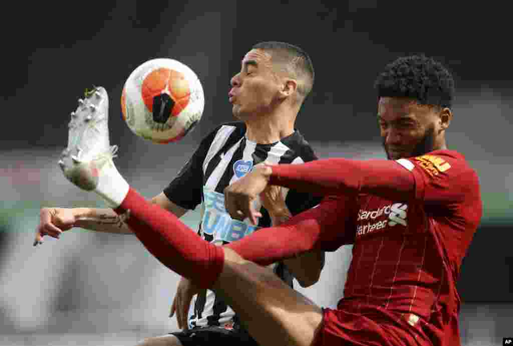 Liverpool's Joe Gomez, right, challenges Newcastle's Miguel Almiron during the English Premier League soccer match between Newcastle and Liverpool at St. James' Park in Newcastle, England.
