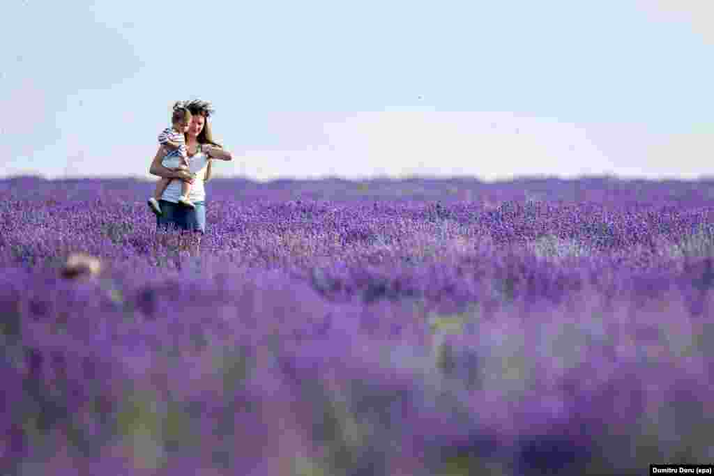 Seorang ibu dan anaknya berjalan di ladang bunga Lavender di desa Cobusca Noua, Moldova.