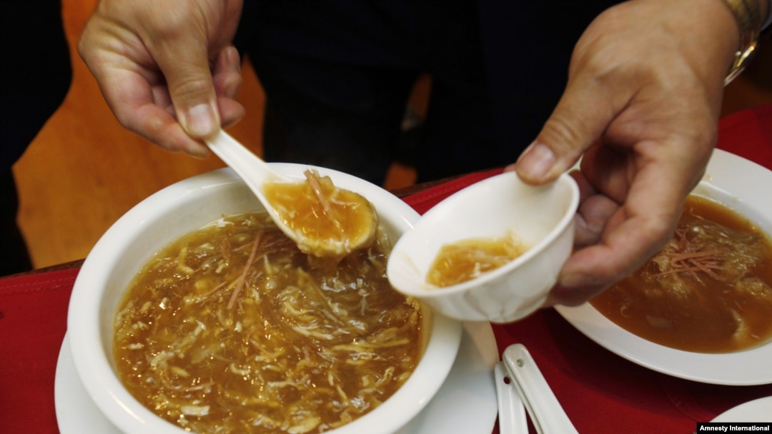 A bowl of shark fin soup is being served at a Chinese restaurant in San Francisco's Chinatown, California, February 14, 2011.