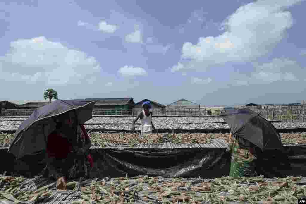 Laborers arrange fish to be sundried at a processing yard in Cox's Bazar, Bangladesh.