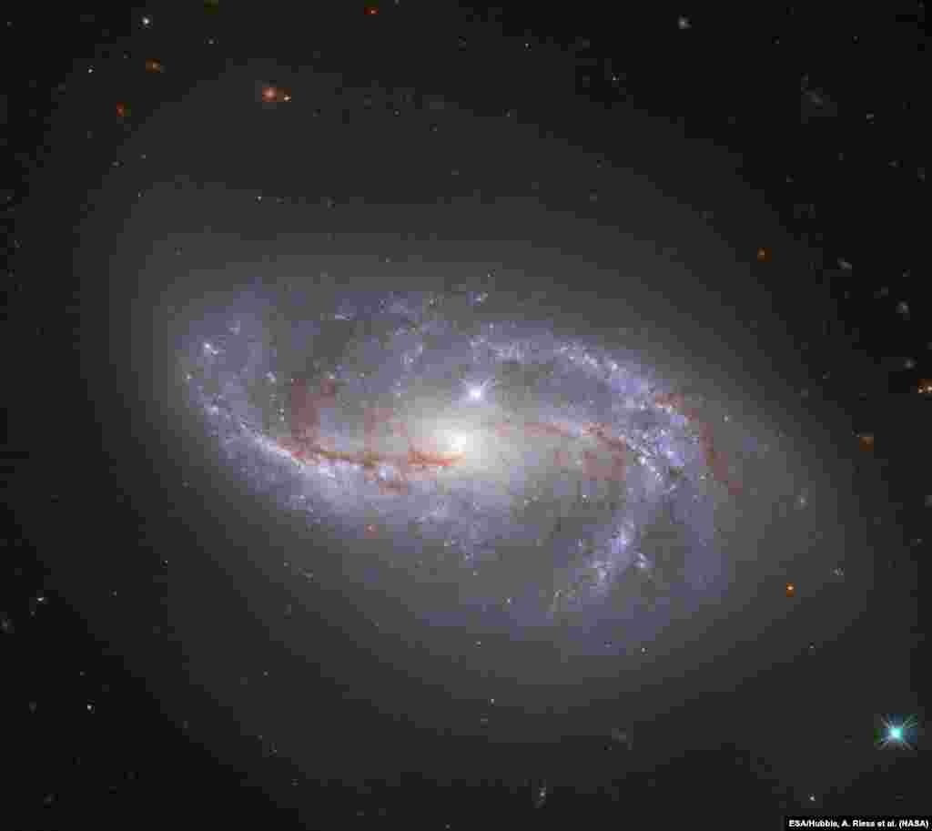 Looking deep into the Universe, the NASA/ESA Hubble Space Telescope catches a passing glimpse of the numerous arm-like structures that sweep around this barred spiral galaxy, known as NGC 2608.