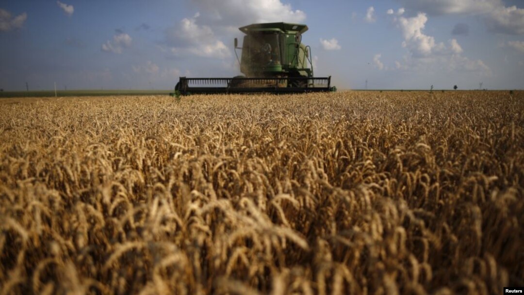 FILE - A combine drives through a field of soft red winter wheat during the harvest on a farm in Dixon, Illinois, July 16, 2013.