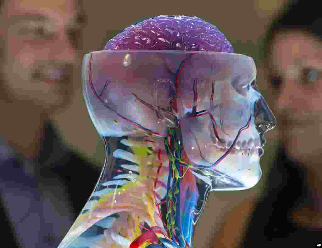 Sebuah model hasil dari printer 3-D yang dipakai untuk keperluan medis dipamerkan pada pameran teknologi di Messe Erfurt, Erfurt, Jerman.