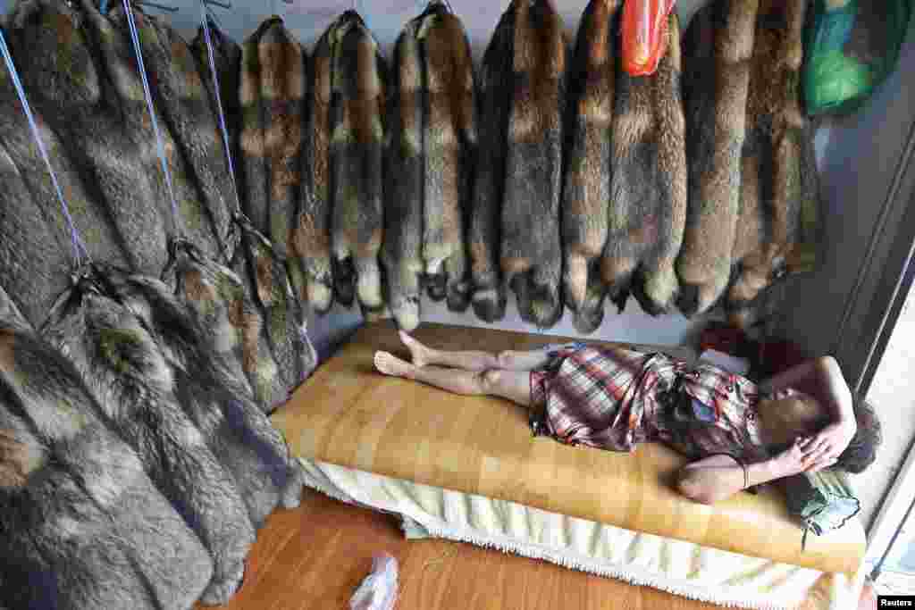 Seorang pedagang tidur di tokonya dimana dindingnya penuh digantungi bulu cerpelai di pasar bulu binatang di Chongfu, Provinsi Zhejiang, China.