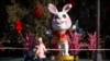 Year of the Cat or Year of the Rabbit?