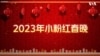 愛國主義教育法 迎接更多“小粉紅”