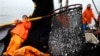 Peru, Indonesia Put Their Fishing Information Online