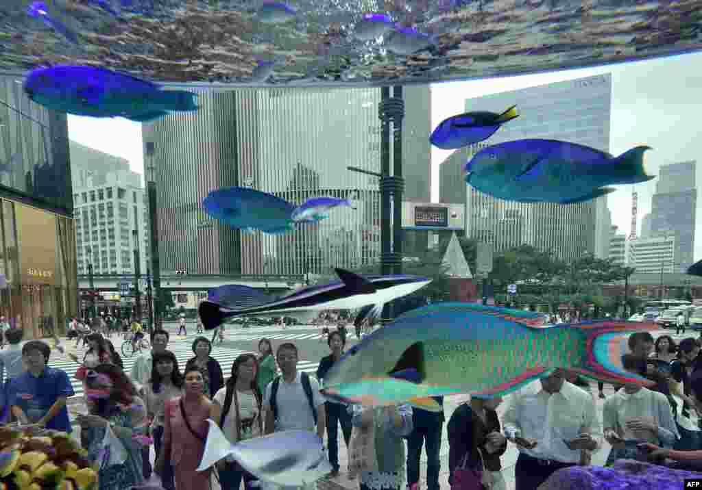 Visitors look at tropical fish transported from Japan's southern island of Okinawa displayed in a giant 14-ton fish tank at the Sony Square event space in Tokyo.