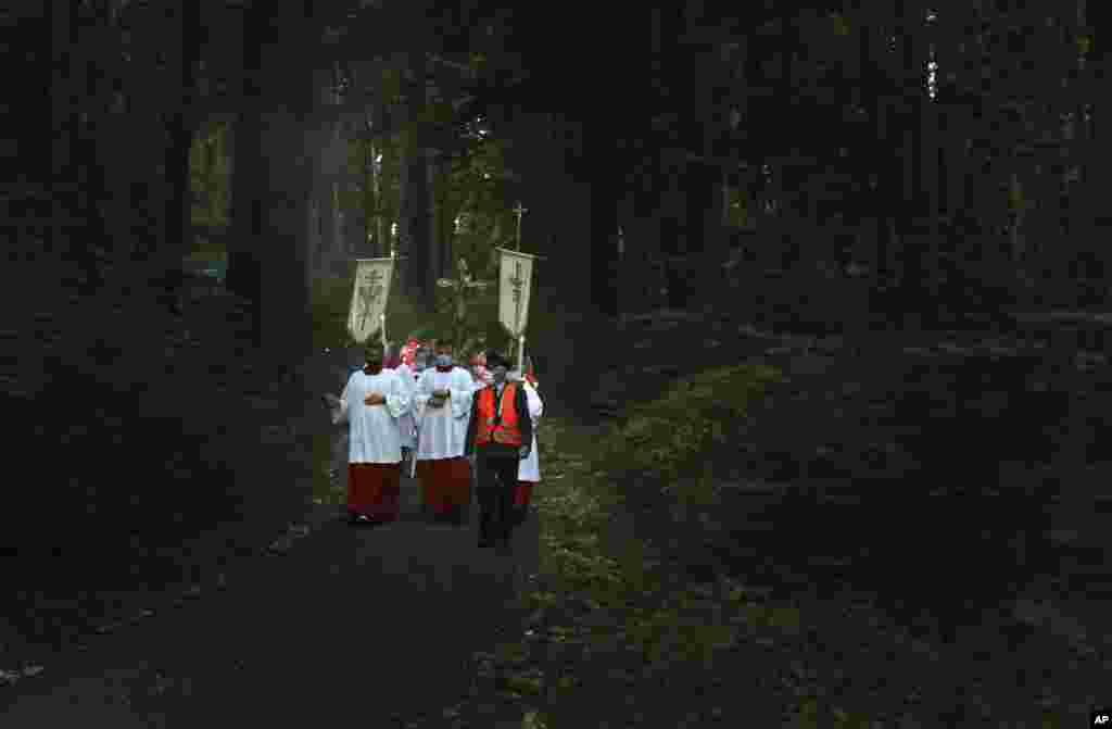 Believers walk through a forest near the pilgrimage church Maria Vesperbild during a light procession on Assumption Day, Aug. 15, 2020, in Ziemetshausen, Germany.