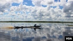 A man in a klotok boat navigates through a peat swamp near Lake Sambujur, North Hulu Sungai, South Kalimantan, Indonesia. Some peat forests have been drained for years, creating an imbalance in the water table that has left areas vulnerable to fires and flooding. (B. Hope/VOA)