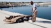 Survivors: Smugglers Ram Boat, Drown Hundreds of Migrants