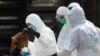 New, Fatal Bird Flu Strain Closely Monitored