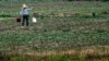 China Report Sounds Alarm on Groundwater Pollution