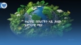 ተፈጥሮ በጤናችን ላይ ያለው አዎንታዊ ሚና 