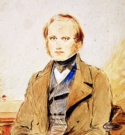 A painting of young Charles Darwin