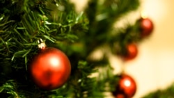 Natal de Paz e inclusão