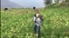 Alertan que los productores agropecuarios tampoco están preparando las tierras para futuras cosechas.