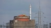 Zelenskyy asegura que sigue existiendo una "grave amenaza" en planta nuclear de Ucrania