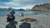 Bird Flu Found in Mammals Near Antarctica for First Time, Scientists Say