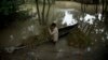 India's New Reforestation Law Ignores Indigenous People, Analysts Say