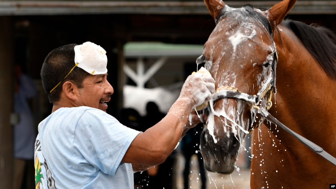 Groom Cesar Abrego gives a bath to a horses following his morning workout at Churchill Downs, April 19, 2017, in Louisville, Kentucky. Abrego came from Guatemala on an H-2B visa. (AP Photo/Timothy D. Easley) 