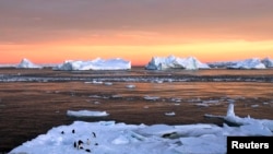 Pingüinos cerca de la estación francesa Dumont d’Urville en la Antártida.