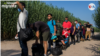 Del Río: un pueblo de Texas abrumado por el súbito aumento de la inmigración irregular