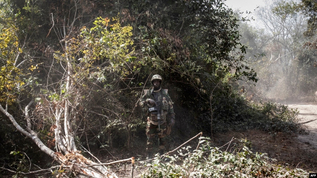 FILE - A Senegalese soldier stands guard in the Blaze Forest, in Senegal, Feb. 9, 2021.