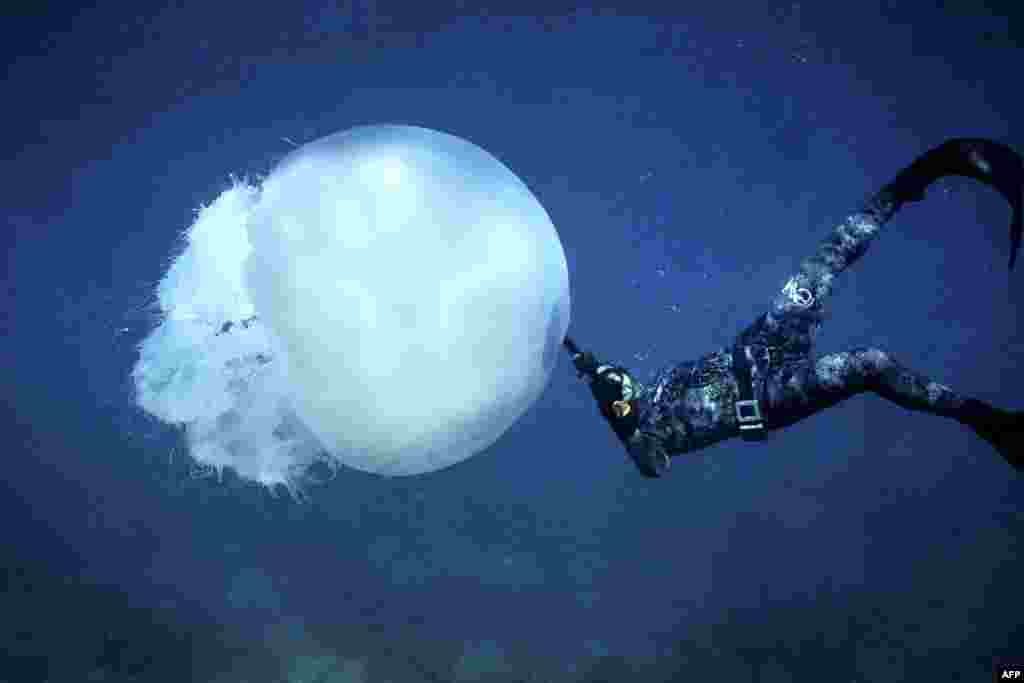 A free-diver swims near a big jellyfish off the coast of Lebanon's northern city of Batroun, Feb. 13, 2022.