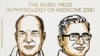 Los estadounidenses Julius y Patapoutian ganan el Premio Nobel de Medicina 2021