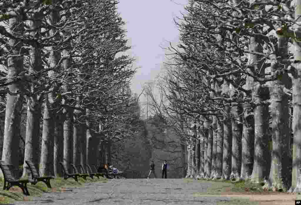 Suasana di taman Shinjuku Gyoen di kota Tokyo, Jepang menjelang musim semi.